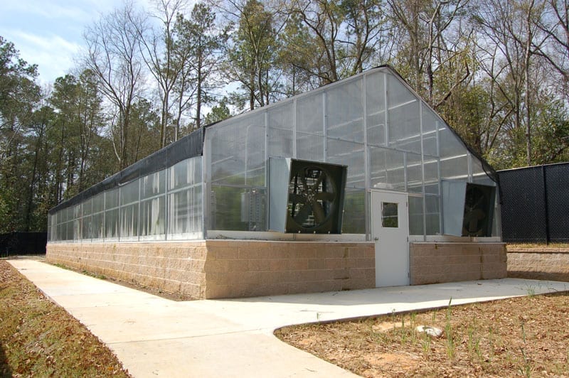 Instructor Greenhouse