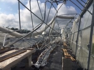 Damage to a Competitive Company's Greenhouse by Hurricane Irma
