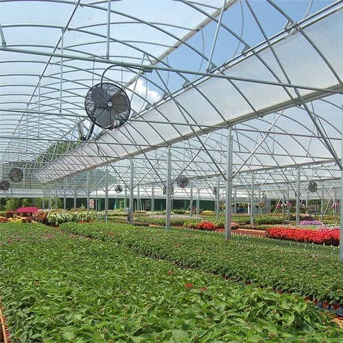 Carolina-Greenery-square