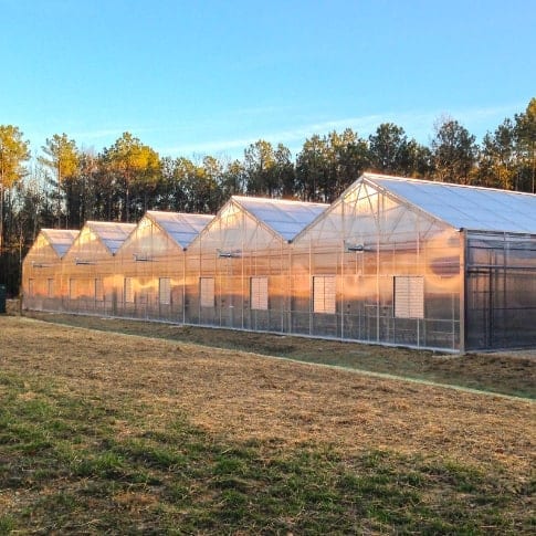 Appalachian Greenhouse
